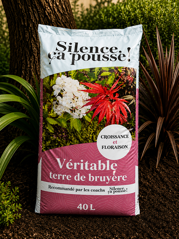 terre-de-bruyere-veritable